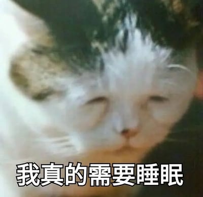 这是一张以猫为主题的表情包图片，左侧有一只带着复杂情绪的猫咪，配文写着“我真的很现实”。通常这种配字配图的猫表情包，用于表达面对实际问题时的无奈、冷静或自嘲。图片风格偏幽默、直白，适合在聊天中用来调侃或表达自己只看重实际利益，没有被情感左右。图片没有明显的谐音梗，但“很现实”常带一种吐槽或居中立场的双关意味。