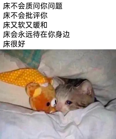 这是一张充满治愈感的图文混排静态图，上方用直白质朴的文字罗列了床的诸多优点：不会质问或批评人，质地柔软温暖，会始终陪伴在身边，以此传递出床能为人们提供的无压力、充满安全感的休憩空间；下方是实拍画面，一只小猫半睁着眼睛，躲在被子里，紧挨着轻松熊玩偶躺在床上，神态慵懒又依赖，画面温馨又放松，完美呼应了上方文字所表达的床的治愈属性，能让经历疲惫的人产生强烈共鸣，唤起对温暖休息时刻的向往。