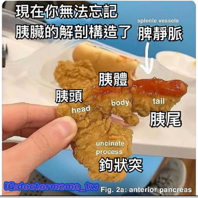图片中一只手拿着一块形状特殊的炸鸡，炸鸡表面被用文字标注出类似胰腺的解剖结构，包括“胰头”“胰体”“胰尾”“钩状突”等部位，旁边还用英文标注了对应术语（head、body、tail、uncinate process），右上角标注了“脾静脉（splenic vessels）”。图片顶部有醒目的文字“现在你无法忘记胰臟的解剖構造了”，通过将炸鸡的形状与胰腺解剖结构幽默结合，达到搞笑记忆的效果。