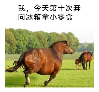 暂无描述