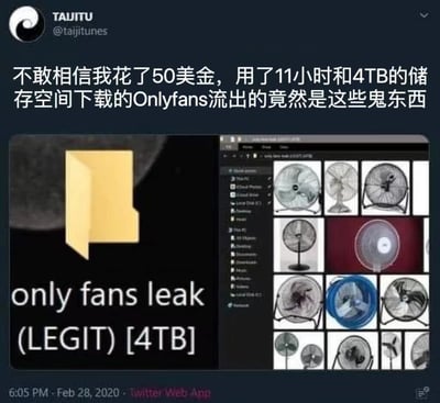 这是一张Twitter截图形式的搞笑梗图，展示了一个用户抱怨自己花费50美金、11小时和4TB存储空间下载的OnlyFans流出内容，结果发现全是电风扇的照片。图片左侧显示一个名为"only fans leak (LEGIT) [4TB]"的文件夹，右侧显示文件资源管理器窗口中多个电风扇的图片。

该梗图使用了"fans"的双关语 - 既指社交媒体平台"OnlyFans"，也指实物"电风扇(fan)"，创造出预期与现实的幽默反差。