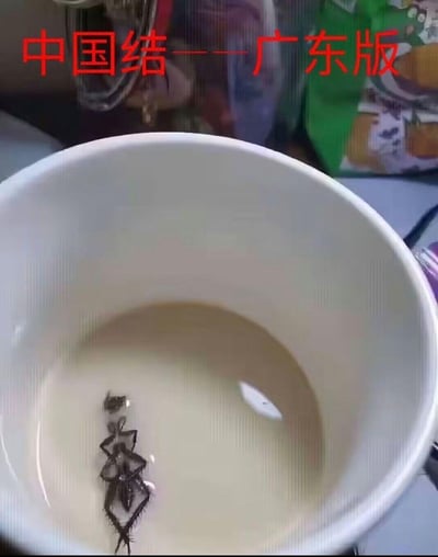 这是一张带有文字标注的实拍搞笑梗图，画面中白色容器内的浅色液体里漂浮着一只蟑螂，它的肢体形态巧合地与中国结的造型相似。图上方配有文字“中国结——广东版”，玩起了地域梗，调侃广东地区蟑螂体型大且常见的特点，通过这种巧合的形态制造出荒诞搞笑的效果。
梗点说明：结合广东蟑螂的“威名”，将蟑螂的形态调侃为“广东版中国结”，用地域特色和巧合形态制造笑点。