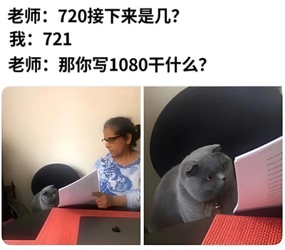 这是一张搞笑梗图，上方是师生对话文字，下方是两张拼接的图片。老师问"720接下来是几?"，学生回答"721"，老师疑惑地问"那你写1080干什么?"。图片左边是一位戴眼镜的女老师正在看试卷，旁边有一只灰色猫咪抬头看着她；右边是这只灰色猫咪近距离看试卷的特写，表情显得有些疑惑。

图片使用了数字梗制造幽默效果：老师可能在问数学序列问题(720后面应该是721)，而学生却联想到了屏幕分辨率(720p之后是1080p)，造成了有趣的误解。