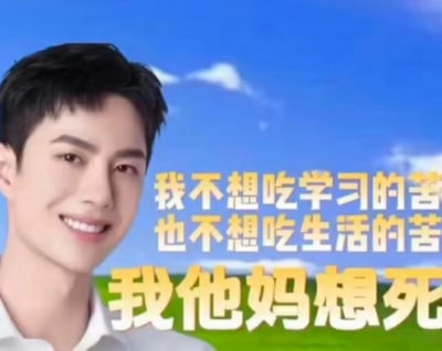 这是一张由网友二次创作的P图梗图，图中使用了艺人王一博的公开照片，照片里王一博面带温和微笑，头部微微倾斜着看向镜头，神态轻松亲切，背景是清新的蓝天白云与草地。图中搭配了醒目的黄色加粗文字，内容为“我不想吃学习的苦，也不想吃生活的苦，我他妈想死”，通过人物温和的神态与极端吐槽文字的强烈反差，夸张地宣泄了当代年轻人面对学习和生活双重压力时的无奈与摆烂情绪，用戏谑的方式表达对压力的抵触。