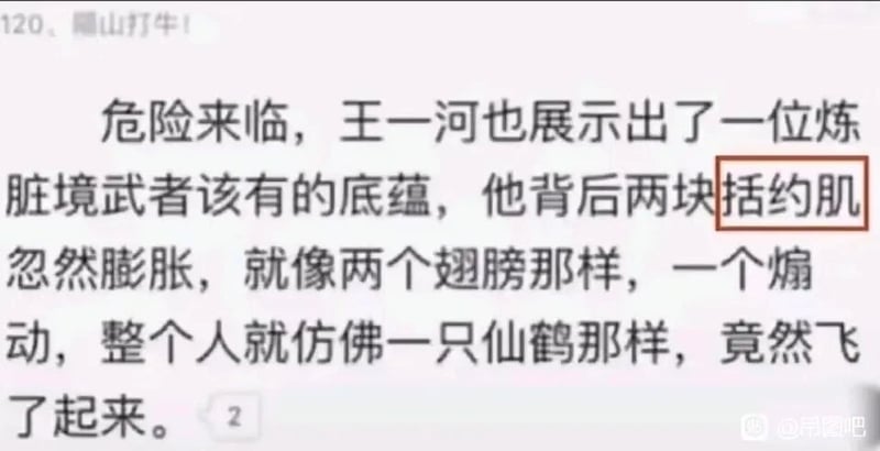 某修仙网络小说