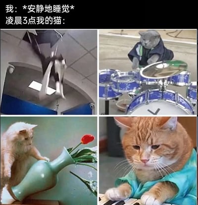 这是一张四格拼接的搞笑梗图，上方文字构建场景：“我：*安静地睡觉* 凌晨3点我的猫：”，四个格子分别展示了猫咪的不同捣乱行为：左上是黑白猫在天花板管道上疯狂跑动，制造动静；右上是拟人化的灰猫像人一样打鼓，刻意制造噪音；左下是浅橘长毛猫推倒花瓶，既弄出声响又搞破坏；右下是拟人化的橘猫在弹键盘，持续制造声音。整图用拟人化的猫咪行为，生动调侃了猫咪在主人深夜睡觉时总会制造各种动静、搞破坏的真实养猫日常，精准戳中铲屎官的痛点，引发养猫人群的强烈共鸣。