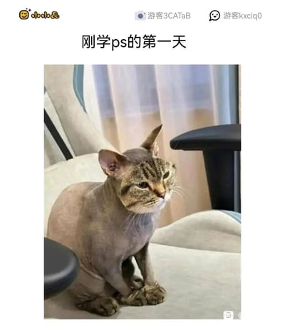 这是一张新手刚接触PS时制作的搞笑合成图，创作者将狸花猫的脸部生硬地拼接到无毛猫的身体上，还疏忽地保留了无毛猫的一只耳朵，形成了一只拥有三张耳朵、两张脸部的怪异猫咪。猫咪的表情无奈又生无可恋，搭配上方“刚学ps的第一天”的文字，精准调侃了新手PS技术的粗糙与不熟练，充满滑稽的反差感，容易引发网友的共鸣和笑点。