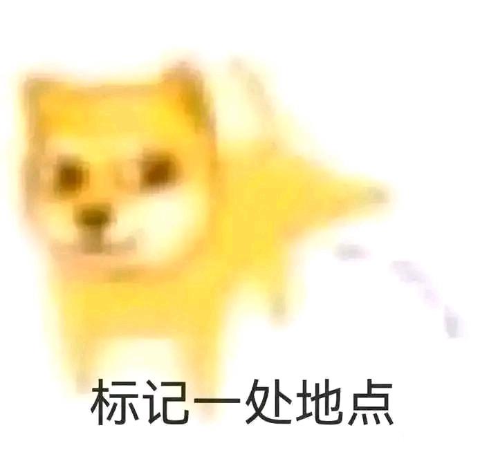 Doge柴犬