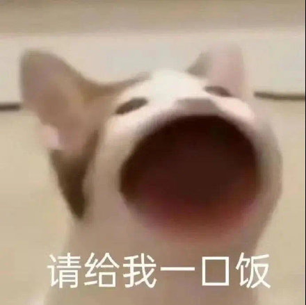 Pop猫饿了：请给我一口饭