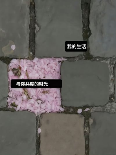 这张图以石板地面为背景，用画面和文字形成强烈对比：大部分空旷的灰色石板区域被标注为“我的生活”，象征着日常平淡、单调的独处时光；而其中一块铺满粉色花瓣的石板区域被标注为“与你共度的时光”，用浪漫柔软的花瓣来比喻和在意的人相处时，生活变得充满色彩与温暖。通过这种直观的视觉对比，传递出对陪伴时光的珍视与偏爱，将细腻的情感藏在日常的场景里。