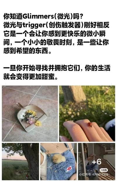这是一张图文结合的多图拼接内容，上方用文字介绍了「Glimmers（微光）」的概念：它和创伤触发器trigger刚好相反，是能让人感到快乐、产生敬畏、带来希望的微小瞬间，并且提到寻找并拥抱这些瞬间会让生活变得更甜蜜。下方的四张实拍图则具象化了这些「微光」瞬间：左上是放在地面撮箕里的一小束干花，带着质朴的温柔；右上是一只小瓢虫安静地停在人的手指上，充满自然的小趣味；左下是树旁望向开阔田野的风景，给人开阔又宁静的感觉；右下是一只软萌的小雏鸡待在牛仔背带裤的口袋里，画面十分治愈，同时右下还有一个显示「+6」的小红点提示。整体内容传递出关注生活里微小美好、治愈心灵的氛围。