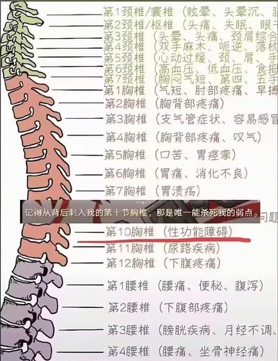 这是一张二次创作的趣味科普图，左侧是卡通化的人体脊椎示意图，右侧详细标注了颈椎、胸椎、腰椎不同节段对应的身体不适症状，比如第1颈椎对应眩晕，第10胸椎标注了性功能障碍；图中叠加了一个类似动漫/游戏反派台词的文字框：“记得从背后刺入我的第十节胸椎，那是唯一能杀死我的弱点”，将科普内容和虚构作品的“弱点设定”结合，形成反差感，制造搞笑效果。