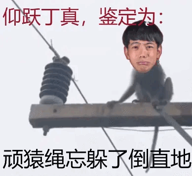 丁真