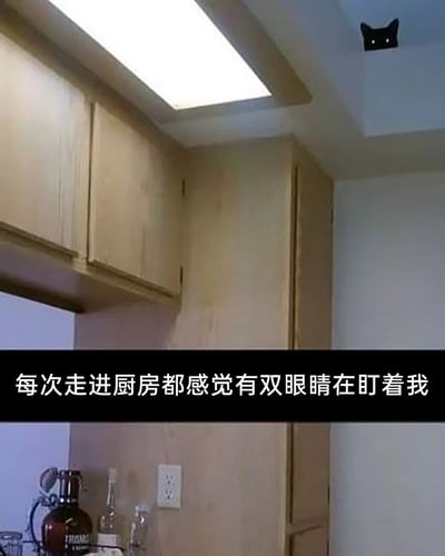 这是一张记录厨房趣味视觉错位的静态实拍图，画面展示了带有浅色木质吊柜的厨房局部空间，在画面右上角的天花板与墙体的角落处，因建筑结构、光影的巧合，形成了类似黑猫脸部（带有白色点状“眼睛”）的视觉错觉。图片下方配有文字“每次走进厨房都感觉有双眼睛在盯着我”，以幽默的口吻调侃这个偶然出现的趣味视觉现象，让日常的厨房场景变得充满趣味性。