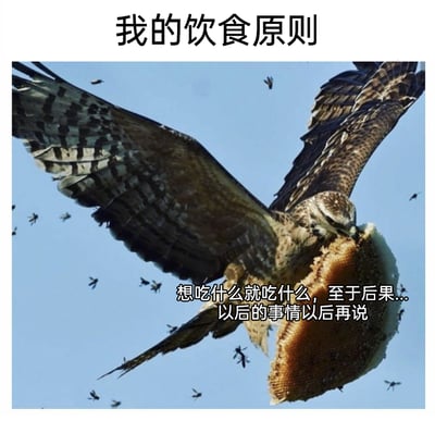 这是一张趣味调侃饮食态度的梗图，顶部标注文字“我的饮食原则”，主体画面为真实拍摄的自然场景：一只老鹰叼着一块蜂巢在天空中飞行，周围有大量蜜蜂环绕，显然是在攻击老鹰以保护自己的蜂巢。画面下方配有文字“想吃什么就吃什么，至于后果...以后的事情以后再说”，将老鹰不顾蜜蜂攻击也要吃蜂巢的行为拟人化，生动调侃了一种随性的饮食观——只追求当下的口腹满足，完全不考虑后续可能带来的健康或其他不良后果，充满了搞笑与自嘲的意味，很容易引发有类似饮食习惯的人的共鸣。