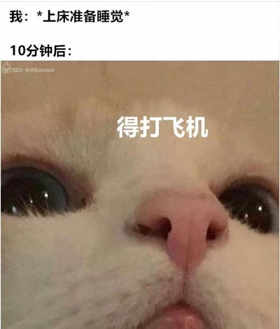 这是一张幽默搞笑的表情包，上半部分文字描述"我：*上床准备睡觉* 10分钟后："，下半部分是一张猫的面部特写照片，猫睁着大大的眼睛，鼻子和嘴巴清晰可见，图片中间配有文字"得打飞机"。通过猫咪专注的表情和文字内容形成反差萌，幽默地表现了人们睡前难以入睡、思绪活跃的状态。