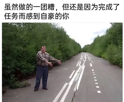 图片上方有文字“虽然做的一团糟，但是因为完成了任务而感到自豪的你”，下方是一名男子站在乡间小路上，他穿着格子衬衫和深色裤子，双臂张开，面带微笑，看起来很自豪。而他身旁的道路标线画得歪歪扭扭，非常不规整，形成了强烈的反差幽默。
