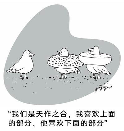 这是一幅由Jason Nguyen创作的黑白线条风格幽默漫画，画面呈现了三只鸟儿站在散落着小颗粒的地面上的场景：左侧是一只形态普通的鸟儿，正平静地注视着另外两只鸟；中间的鸟儿身体被带糖粒的甜甜圈上半部分套住，正张嘴说话；右侧的鸟儿则被无装饰的甜甜圈下半部分套住，安静地站在一旁。画面下方配有中文文字：“我们是天作之合，我喜欢上面的部分，他喜欢下面的部分”，通过将两只鸟与甜甜圈的上下部分结合，以拟人化的趣味方式诠释了“天作之合”的搭档关系，二者的喜好刚好对应了完整甜甜圈的组成部分，充满荒诞又温馨的幽默感。