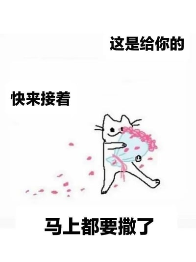 一张卡通风格的表情包，画面中央是一只线条简单的白色猫咪，正抱着一个蓝色的袋子奔跑。袋子里装满了粉色的花瓣，边走边不断洒落。图片上方配有文字“这是给你的”，左侧中间位置写着“快来接着”，底部则是“马上都要撒了”。整体风格可爱俏皮，通过猫咪急切的动作和洒落的花瓣营造出一种温馨又略带慌张的氛围。