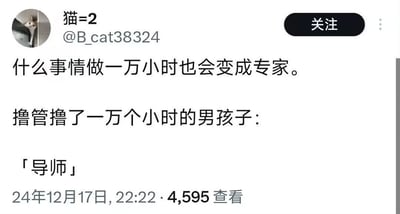 这是一张类推特社交平台的用户发布截图，博主@B_cat38324（昵称猫=2）以“一万小时定律”为基础玩梗，先抛出“什么事情做一万小时也会变成专家”的常规正向观点，随后用“撸管一万个小时的男孩子：「导师」”的低俗场景进行反差恶搞，打破定律原本的励志属性，用无意义的重复行为制造荒诞搞笑的效果。截图左上角是博主的猫咪头像，发布时间为2024年12月17日22:22，该内容获得4595次查看。
