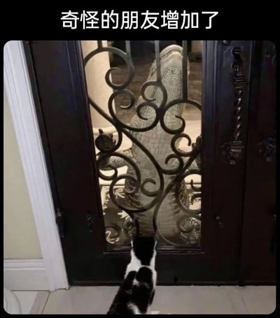 一只黑白相间的猫正站在屋内，透过带有花纹的铁门向外张望。门的另一侧，一只体型庞大的鳄鱼赫然出现，似乎正与猫隔门相望。图片上方配有文字“奇怪的朋友增加了”，通过猫与鳄鱼这种不寻常的组合制造出幽默效果，暗示遇到了意想不到的奇特伙伴。