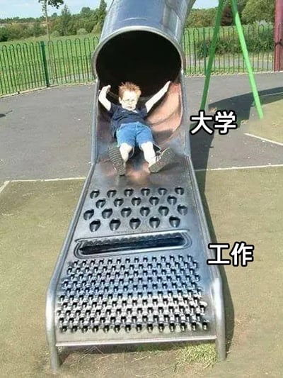 这是一张经过P图改编的搞笑梗图，原型是游乐场的管状滑梯。图片将滑梯分为上下两段，上段标注“大学”，是正常的光滑滑梯滑道，一个男孩躺在上面，双手抓着滑梯边缘，表情略显紧张无奈，呈现出校园时期相对轻松但即将进入下一阶段的状态；下段被修改成类似厨房擦丝器的密集凸起结构，标注“工作”，用这个具象化的结构来比喻从轻松的校园生活过渡到职场后，需要面对的压力和“被磋磨”的感受，以此调侃职场的艰辛，引发年轻人的共鸣。