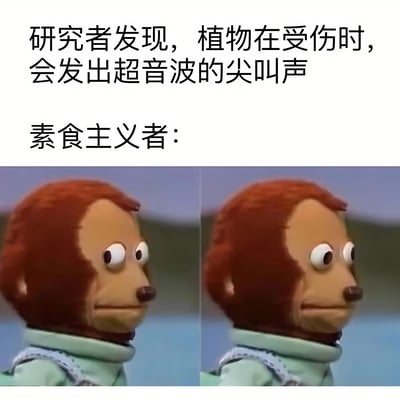 图片上方文字为'研究者发现，植物在受伤时，会发出超音波的尖叫声'和'素食主义者：'，下方是两张左右并排的木偶角色图片。木偶有着红色头发，穿着浅绿色衣服，双眼圆睁，表情惊讶，侧头凝视，通过重复的惊讶表情来幽默表现素食主义者得知植物会'尖叫'后的震惊反应。