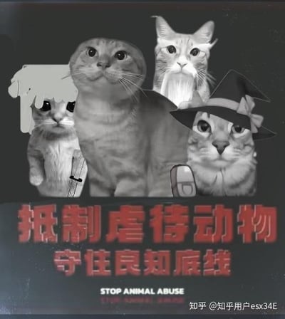 这是一张以抵制虐待动物为主题的公益宣传图，采用多图拼接的图文混排形式呈现，整体色调偏暗压抑。图中包含四只经过修改的真实猫咪图像：左侧猫咪被添加了类似受伤的白色涂抹效果和类似刑具的元素，营造出受伤害的状态；中间是一只抬头望向上方、神情茫然的猫咪；右上方是一只表情严肃、直视前方的猫咪；右下方是一只戴着巫师帽、平静看向镜头的猫咪。图片下方配有醒目的红色大字“抵制虐待动物 守住良知底线”，下方还有英文标语“STOP ANIMAL ABUSE”，旨在传递反对虐待动物、坚守道德良知的公益理念，图中没有双关、谐音梗或暗示内容。