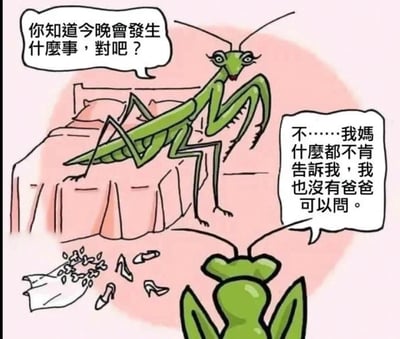 这是一幅充满黑色幽默的卡通漫画，画面呈现了两只螳螂的对话场景。一只雌性螳螂坐在铺有粉色床品的床边，向面前的雄性螳螂发问；雄性螳螂只能看到头部，它的回答暗藏伏笔。地面上散落着类似衣物和高跟鞋的物品，暗示着即将发生的亲密场景。漫画利用了螳螂的生物特性——雌性螳螂在交配后会吃掉雄性螳螂，雄性螳螂没有爸爸正是因为其父在交配后被母亲吃掉，这个设定让对话充满了讽刺和悲伤的幽默感，形成了强烈的反差笑点。