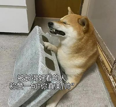 这是一张文字加注类的趣味表情包，主体是一只柴犬，它闭着眼睛、嘴巴微张，露出陶醉享受的神情，一只前爪搭在灰色空心砖上，身体瘫坐在地面，姿态放松慵懒。图片下方配有文字“被长得好看的人称赞一句‘你真美/帅’”，用柴犬的陶醉状态来生动比喻人在被颜值高的人夸赞外貌时，那种心花怒放、飘飘然的愉悦心情，精准戳中人们在这类场景下的真实情绪，适合在聊天中用来表达被心仪之人夸赞后的开心与满足。