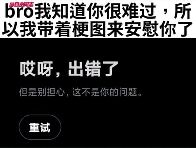这是一张双层结构的搞笑梗图，上方白色背景区域写着安慰的话语“bro我知道你很难过，所以我带着梗图来安慰你了”，左上角带有“@自由同志”的创作者水印；下方是模仿网页或APP加载出错的黑色背景界面，显示“哎呀，出错了 但是别担心，这不是你的问题。”，还有一个“重试”按钮。整张图的笑点在于反差：本来是要提供梗图来安慰情绪低落的人，结果用来安慰的核心内容（梗图）却加载失败，这种“想安慰却搞砸”的倒霉场景，反而形成了一种哭笑不得的幽默效果，用意外的出错状况来制造反向安慰的趣味。