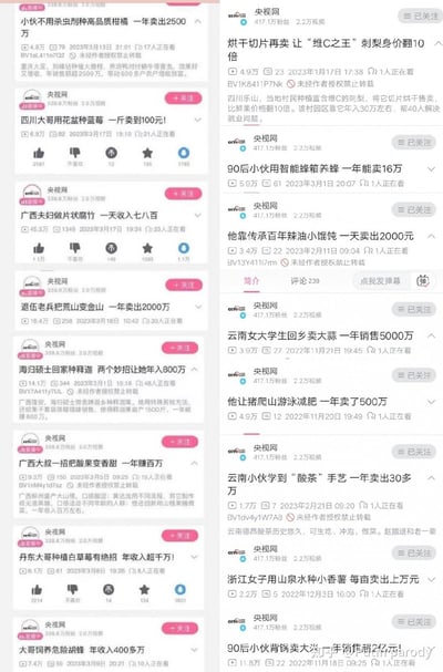 这是哔哩哔哩（B站）平台上央视网官方账号发布的乡村创业致富主题视频列表截图，分为左右两栏展示多个视频条目。每个视频都以醒目的高收入/高销售额为标题亮点，涵盖特色种植（如无农药柑橘、盆栽蓝莓、大蒜）、传统手艺（辣油小馄饨、片状腐竹）、创新农业（荒山变金山、让猪减肥）等多种创业方向，展示了普通人通过各类方式实现致富的案例，视频附带播放量、发布时间、观看人数等数据，整体传递出励志、正能量的创业氛围。