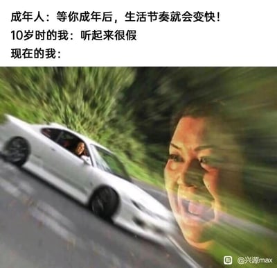 这是一张调侃成年后快节奏生活的搞笑梗图，采用“文字铺垫+视觉冲击”的形式。文字部分分为三段：成年人向10岁的“我”预告成年后生活节奏会变快，10岁的“我”对此表示质疑；画面部分则用动态模糊的高速行驶汽车搭配面部因速度扭曲的夸张人脸，具象化地表现“现在的我”被快节奏生活裹挟、处于失控状态的真实感受，精准戳中当代成年人在忙碌生活中的共鸣点，用夸张的视觉效果放大了成年生活的无奈与搞笑。