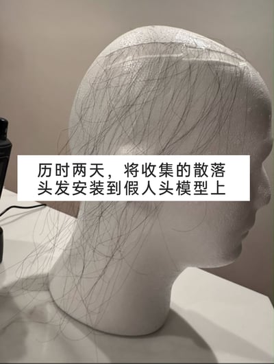 这是一张原始拍摄的静态图，画面主体为一个白色泡沫材质的假人头模型，模型的头顶及颈部位置粘贴着一些收集而来的散落头发，头发分布稀疏零散；图中叠加了白色背景的文字说明框，标注内容为“历时两天，将收集的散落头发安装到假人头模型上”，清晰说明了这个作品的制作时长与内容，呈现出创作者花费两天时间，把日常收集的掉落头发固定到假人头模型上的手工成果，既可以看作是趣味手工创作，也带有对自身脱发情况的调侃意味。