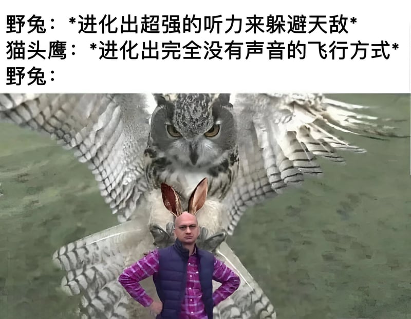 人类