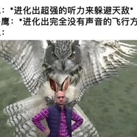 猫头鹰