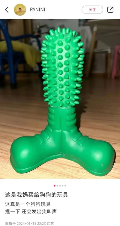 社交媒体帖子截图，展示了一个绿色的狗狗玩具。玩具顶部有尖刺状凸起，底部有三个圆形支撑脚。帖子文字说明这是妈妈买给狗狗的玩具，捏一下会发出尖叫声。