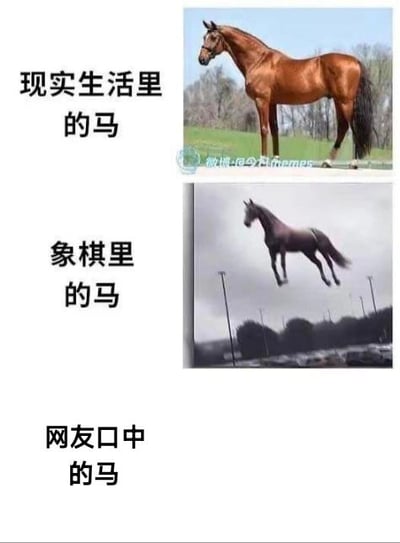 这是一张三段式上下拼接的对比梗图，通过图文结合的方式玩了谐音梗：
1. 最上方是“现实生活里的马”，配图是一匹站在草地上的真实棕色马，还原现实中马的形态；
2. 中间是“象棋里的马”，配图是一匹腾空跃起的马，对应中国象棋中“马走日”、可以跳跃棋子的走法；
3. 最下方是“网友口中的马”，此处没有配图，用空白暗示网络语境中网友常说的“马”是谐音脏话“妈”，用留白的方式调侃网络上的不文明用语，制造讽刺又搞笑的效果。