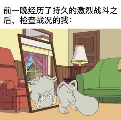 图片上方配有文字“前一晚经历了持久的激烈战斗之后，检查战况的我：”，下方是一幅卡通场景，一只灰色的猫正疲惫地趴在镜子前，双手（爪子）扶着头，看着镜中的自己，仿佛在检查前一晚“战斗”后的状态，整体营造出一种幽默搞笑的氛围。