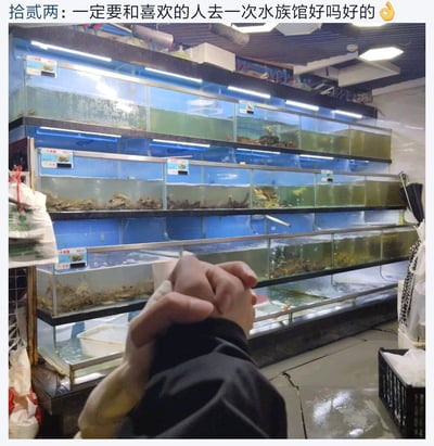 图片上方有一句浪漫的网络语录：“一定要和喜欢的人去一次水族馆好吗好的👌”，但实际图片内容是在普通的水产市场，两个人牵着手，好像在参观水族馆，实际上参观的是活海鲜水箱。图文配合形成强烈反差，借“水族馆”谐音梗制造出日常生活的幽默和温馨，带有调侃和自嘲色彩。\n\n**谐音梗/反转说明：**表面上说的是水族馆，实际上是去买菜的水产区，形成了幽默反转。