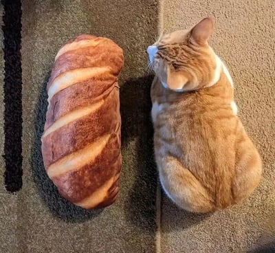 图片中，一只橘白相间的猫咪正侧躺在浅棕色地毯上，身体蜷缩成椭圆形，背部的橘黄色毛发带有自然条纹。猫咪身旁紧挨着一个仿真面包造型的抱枕，抱枕表面有深浅不一的棕色条纹，与猫咪背部的毛色和形状高度相似，仿佛两块“面包”并排休憩。猫咪耳朵竖起，头部微微转向抱枕，画面温馨治愈，充满生活趣味。