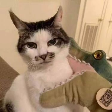 一只黑白毛色的猫咪，脸部有黑色斑点，表情淡定，被一个绿色的鳄鱼玩偶用前爪抱住。猫咪眼神平静，耳朵竖起，似乎对被抱住的状态并不在意。背景中可见室内环境，包括浅色墙壁和带有通风口的门。