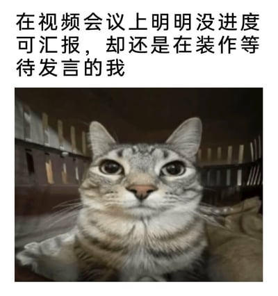 这是一张戳中职场人共鸣的搞笑表情包，上方配有文字“在视频会议上明明没进度可汇报，却还是在装作等待发言的我”，下方是一只狸花猫，它眼睛瞪大、面部紧绷，表情紧张又强装镇定，精准还原了职场人在视频会议中，明明没有工作进度可以汇报，却不得不装作准备充分、等待发言的心虚与窘迫状态，用猫咪的生动表情将这种职场尴尬场景具象化，让人感同身受又觉得好笑。