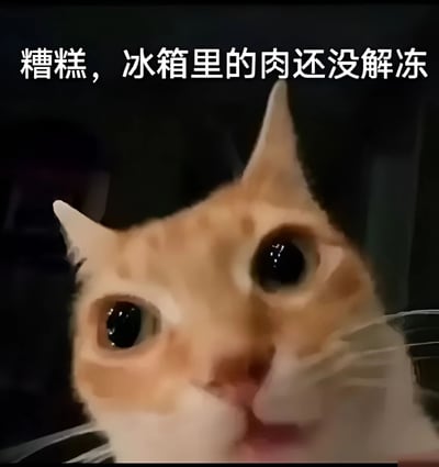 一张橘猫表情包，猫咪瞪大眼睛，表情震惊，上方配有文字'糟糕，冰箱里的肉还没解冻'，用猫咪的夸张表情幽默地表达了发现食材未准备好时的惊讶和慌张情绪。