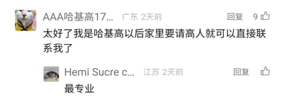 这是一张社交媒体评论区的静态截图，展示了两条趣味互动的评论。来自广东的用户“AAA哈基高17...”借助带有谐音梗的网名，自封“哈基高”，调侃表示家里需要请高人的话可以直接联系自己，这条评论收获了9个点赞；来自江苏的用户“Hemi Sucre c...”则回复“最专业”，对前者的发言进行捧场，二者的互动营造出轻松搞笑的氛围。