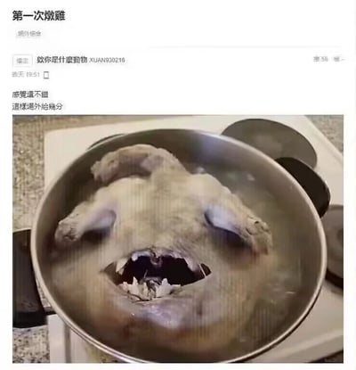 这是一张社交媒体论坛的截图，帖子标题为“第一次炖鸡”，楼主“欸你是什么动物XUAN930216”发布了自己第一次炖鸡的成品图，并配文“感觉还不错 这样场外给几分”，向网友求评分。图中锅里的整鸡因为炖煮后的形态和摆放位置，产生了视觉错位效果，鸡的身体、翅膀和头部的组合看起来像是一个张着大嘴的奇怪人脸，这种巧合的趣味形态让原本普通的炖鸡场景变得滑稽搞笑，充满生活趣味。