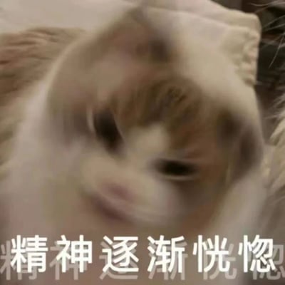 一张猫咪的特写照片，由于快速旋转导致面部模糊，呈现出头晕目眩的效果。图片下方配有文字“精神逐渐恍惚”，生动表现出猫咪（或比喻人）处于迷糊、眩晕状态的样子。