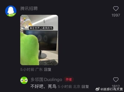 这是一张微博评论区的社交媒体截图，腾讯招聘官方账号（IP属地广东）发布了一张经过P图改编的图片，图中经典布偶角色科米蛙坐在电脑前，头顶被P上了一个鱼头，配文“谁是世界上最美的鸟”，玩了谐音梗——“最美的鸟”谐音“最美的妞”。多邻国Duolingo官方账号（IP属地北京）随即回复“不好吧，死鸟”，同样使用谐音梗回应，“死鸟”谐音“死妞”，顺着腾讯招聘的梗完成了趣味互动，整体氛围轻松搞笑，是品牌账号之间的玩梗内容。