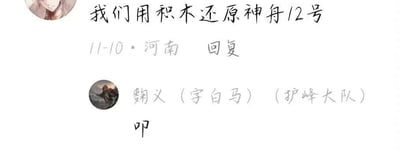 这是一张中文社交平台的评论区截图，上方第一条评论由IP属地为河南的用户在11月10日发布，内容为“我们用积木还原神舟12号”；下方是昵称为“鞠义（字白马）（护峰大队）”的用户做出的回复，仅发送了一个“叩”字。该回复利用了谐音双关的玩梗手法：“叩”和拼积木时的“扣”合动作发音相同，既回应了上文拼积木的内容，同时“叩”本身有叩拜的含义，形成了反差感的幽默效果。