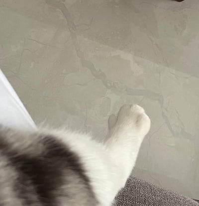 这张图展示了一只猫咪的白色肉垫爪子从灰色沙发边缘伸出来，猫咪的身体大部分被遮挡，仅露出带有虎斑花纹的部分躯干，背景是带有深色自然纹理的大理石瓷砖地面，整体画面传递出慵懒、治愈的氛围，没有谐音梗或双关类的隐含内容。